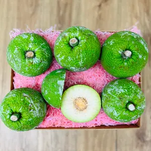 Breadfruit (Panapen, Ulu) Box