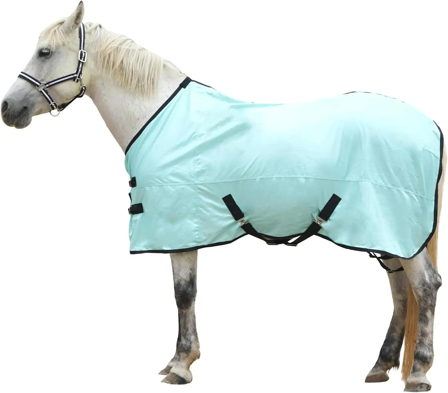Standard Neck Comfy Mesh Fly Sheet for Horses Equine Summer UV-Protective Green 69