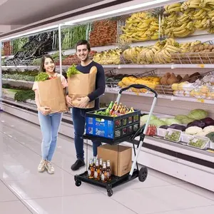 2-Tier Foldable Shopping Trolley - 2 Tier Folding Grocery Carts (198 LB Capacity), Portable Grocery Cart with Wheels & Removable Crate, Lightweight for Mall & Market