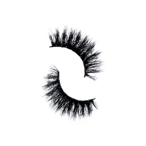 (Kinky) Lash