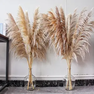 PAMPAS Decorative Artificial Pampas Grass Bouquet Set - 10 Pcs 46-in Tall Vase-Friendly Stem Plants, Farmhouse/Indoor Decor for Kitchen/Room, Boho Wedding Table Accent Home Supplies Gift