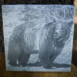 Ceramic Etched Coasters 4 Inch with Unique Animal Imagery Custom Photo Etched Grizzly Bear 399 Design for Home Decor Protects Surfaces from Spills and Stains