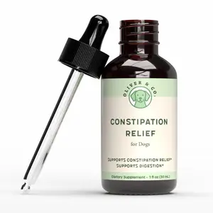 Constipation Relief for Dogs