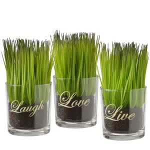 National Tree Company 3-Piece Sprout-Filled Glass Assortment