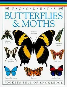USED-Butterflies and Moths (Travel Guide) by Barbara Taylor (Paperback)