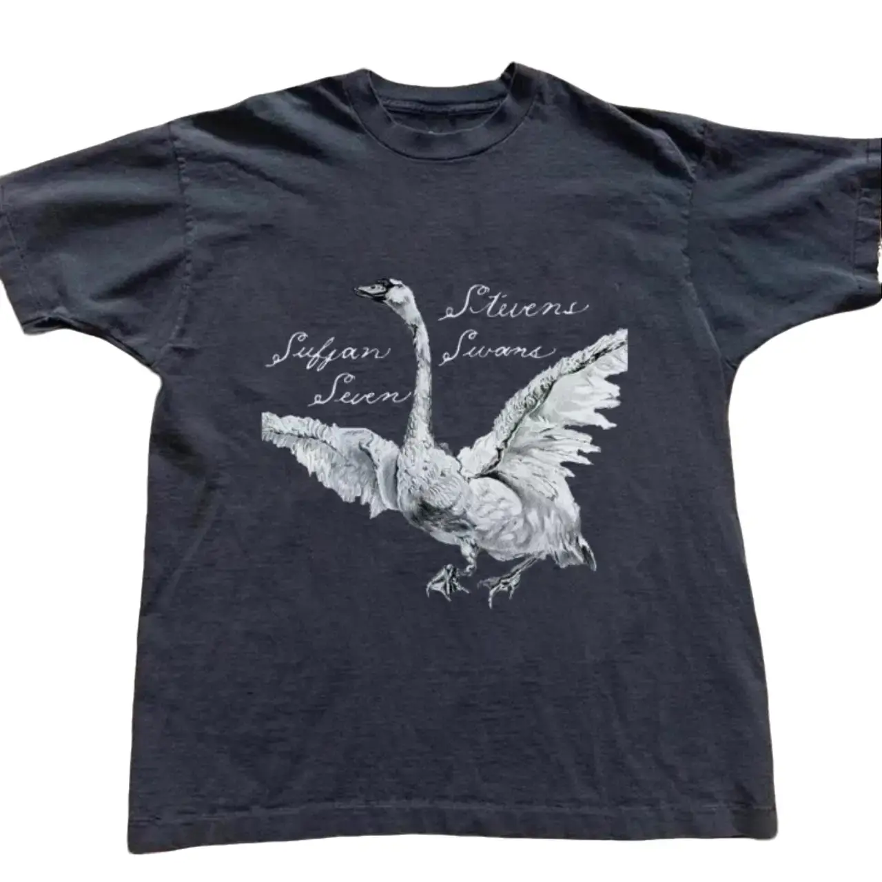 Sufjan Stevens Swan Graphic T-Shirt, Vintage Indie Folk Music Tee, Retro Album Inspired Shirt, Unisex Cotton Y2K Graphic T-Shirt, Fan Gift
