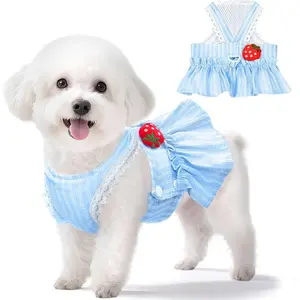 Cute Strawberry Small Dog Dress with D-Ring Princess Lace Girl Female Dog Clothes Spring Summer Breathable Mesh Pet Puppy Cats Harness Dress for Shih Tzu Yorkies Chihuahua Maltese(Blue,Small)