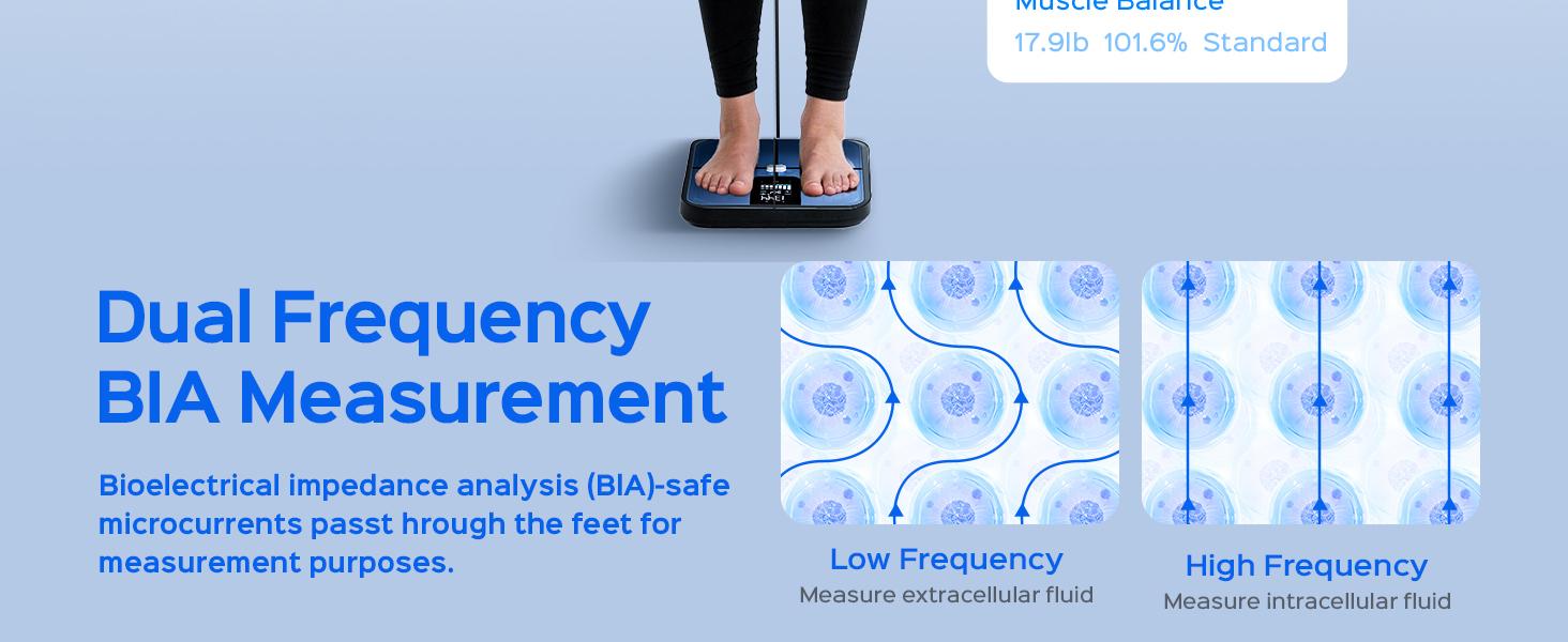 Tychesy 8-Electrode Smart Body Fat Scale with Handle | Segmental Body Composition Analyzer | 20+ Metrics | Large LED Display Tychesy 8-Electrode Smart Body Fat Scale with Handle | Segmental Body Composition Analyzer | 20+ Metrics | Large LED Display