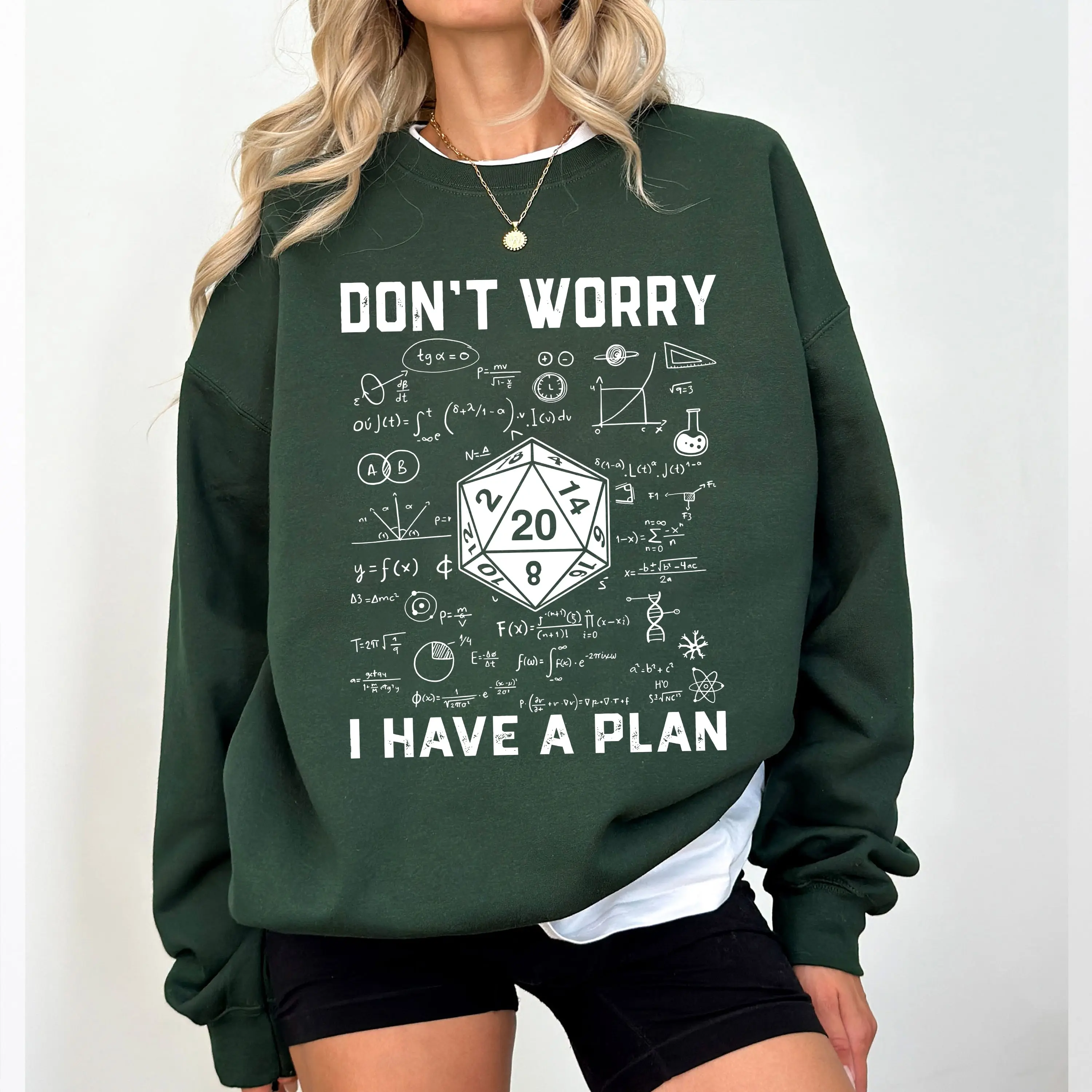 Don't Worry I Have a Plan Shirt, Gifts for D&D Gamer, RPG TShirt, Funny Dungeons D20 Sweatshirt, Gift for DM Game Master