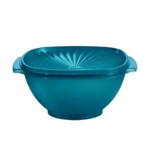 Teal Serve N Store Container