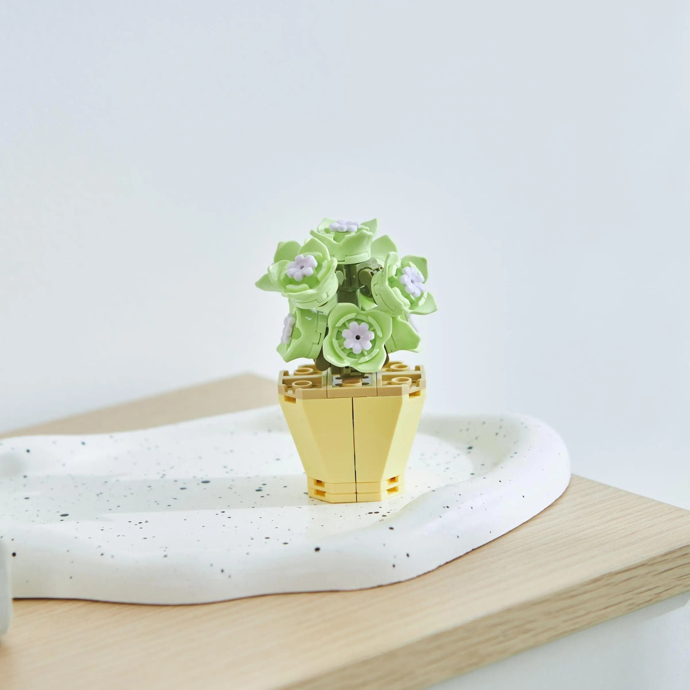 Jade Flower Succulent