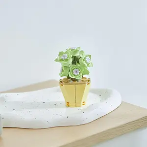 Jade Flower Succulent