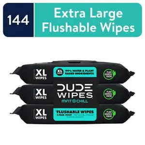 Dude Wipes Extra Large Mint Chill Flushable Wipes 3 - 48 Wipe Packs