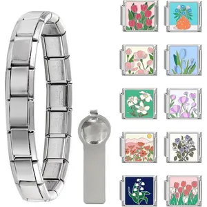 Italian Charm Bracelet  Set with Starter Brascelet,  Assorted Charms and Opening Tools, 9mm Modular Italian Charm Bracelet Links Handmade DIY