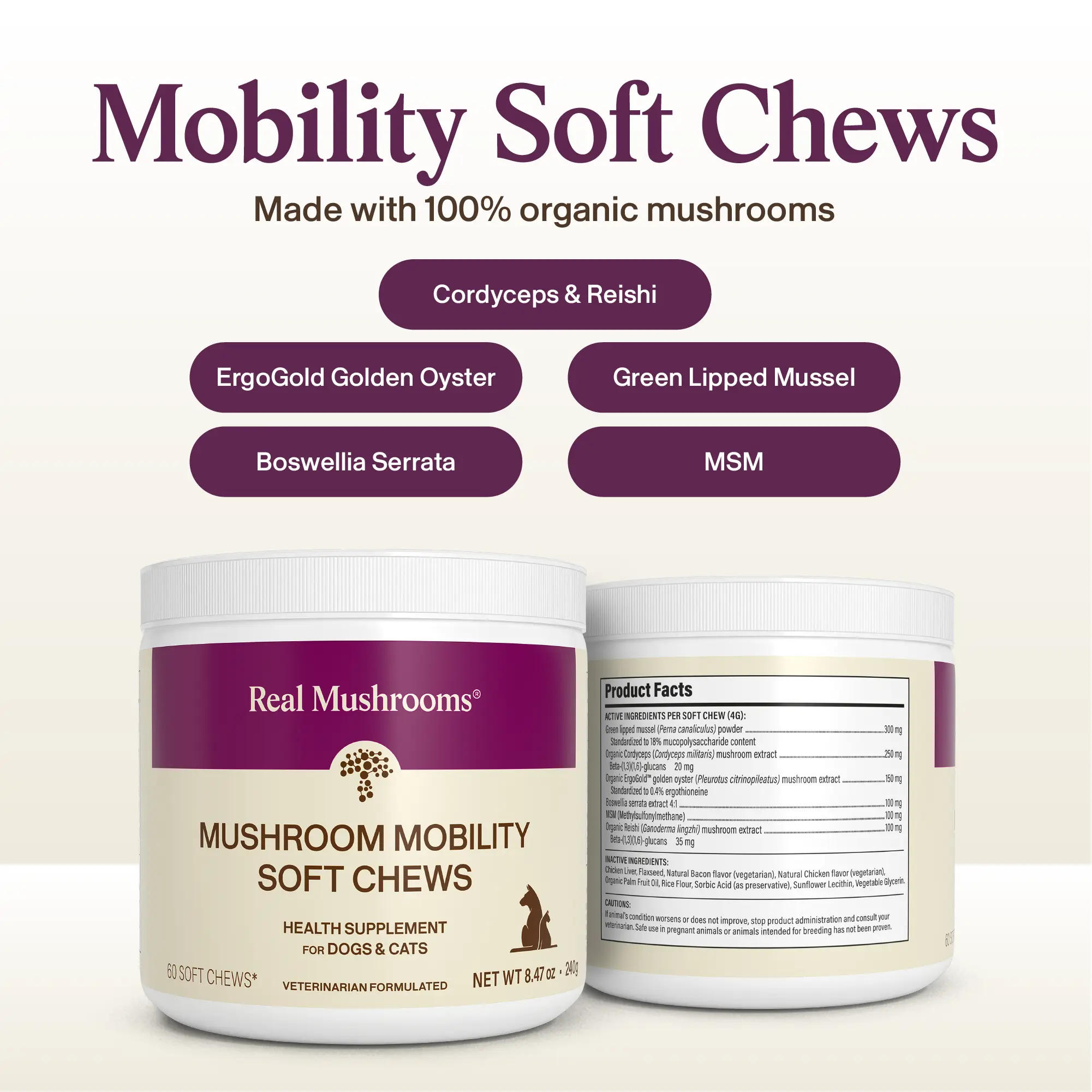 Real Mushrooms Mobility Pet Chews | Organic Mushroom Blend with Green Lipped Mussel MSM Boswellia | Vet Formulated Dr Rob Silver DVM | NASC Certified | 60 Servings
