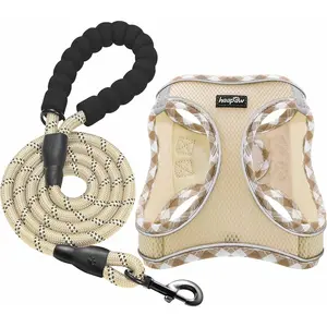 Dog Harness with Leash Set, No Pull Adjustable Reflective Step-in Puppy Harness with Thickened Padded Vest for Extra-Small/Small Medium Dogs