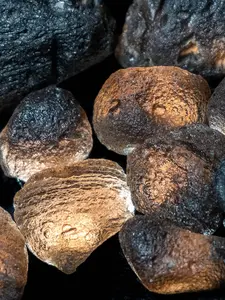 Stunning Extra Rare Raw Agni Manitite Tektite Pearl Of Fire Stone From Indonesia，Rare Crystal Specimen Pearl Of Divine Fire，Loose Gemstones,DIY Perfect Home Decorative Art Collect,Unique Holiday Gifts,The Ideal Choice for Crystal Enthusiasts.