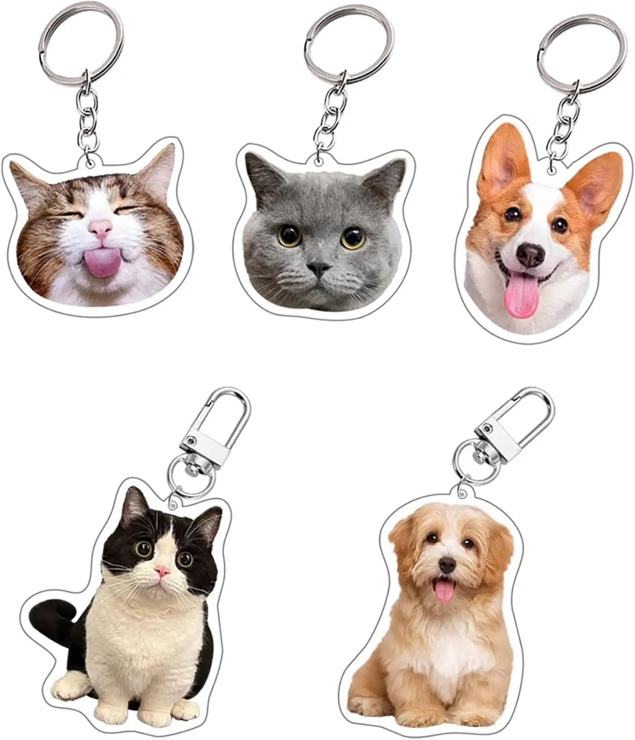 Custom Pet Photo Keychain, Personalized Acrylic Dog Cat Keyring