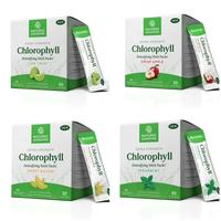 Chlorophyll Variety Pack: All 4 Flavors