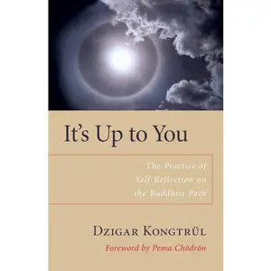 USED-It's Up to You: The Practice of Self-Reflection on the Buddhist Path by Kongtrul, Dzigar (Paperback)