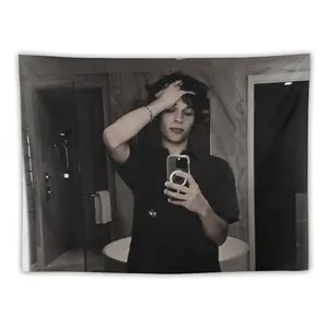 Chris Star Sturniolo Flag Tapestry Poster Perfect for Fans Room Bedroom Living Room Dorm Or Outdoor Wall DecorationChris_Star_Sturniolo