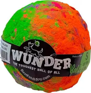 Wunderball Dog Toy