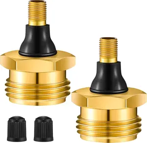 2 Pcs Brass Blow Out Plug for RV Antifreeze, Air Hose Compatible with Schrader Valve to Blow Out RV Water Lines, Winterization Valve for Campers, Motorhomes and Travel Trailers