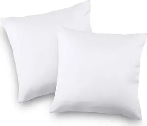 Decorative Throw Pillow Set (Set of 2) - 22 x 22 Inches Bed and Couch Pillows - Indoor Accent Cushions