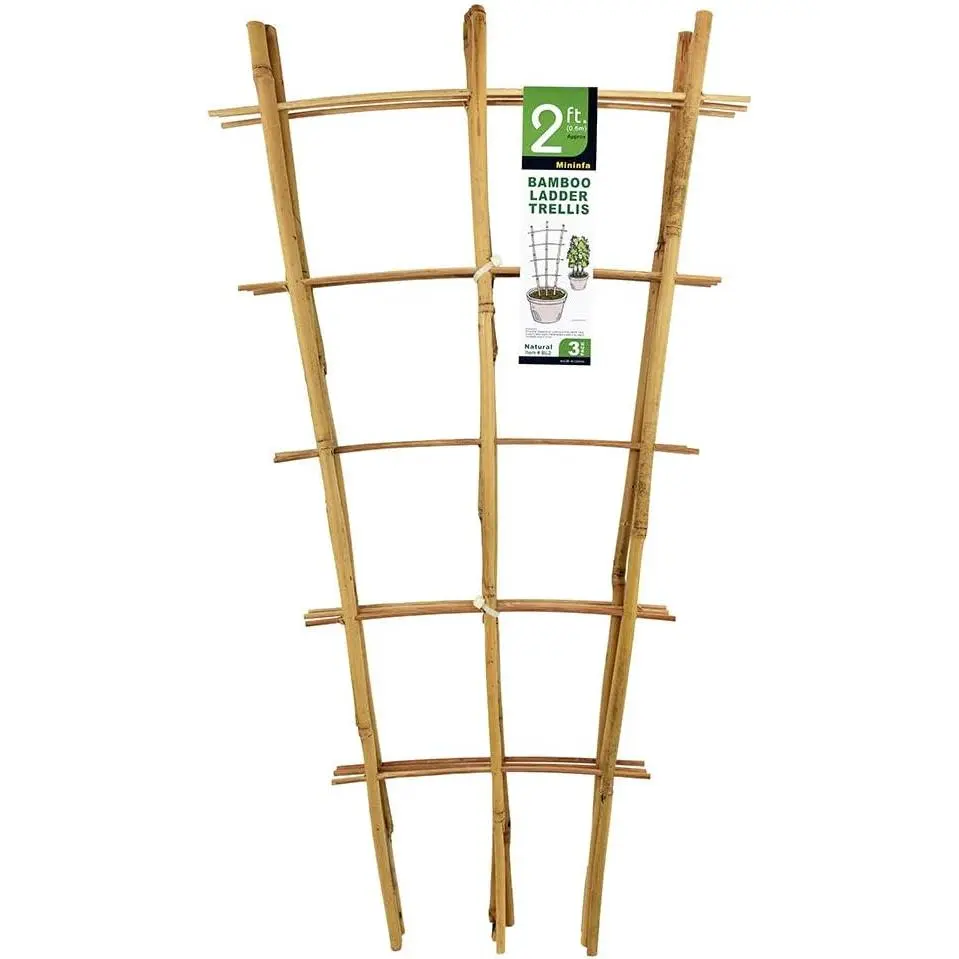 3-Pack Natural Bamboo Garden Ladder Trellis – 24" Tall Support for Climbing Plants, Vegetables & Potted Plants