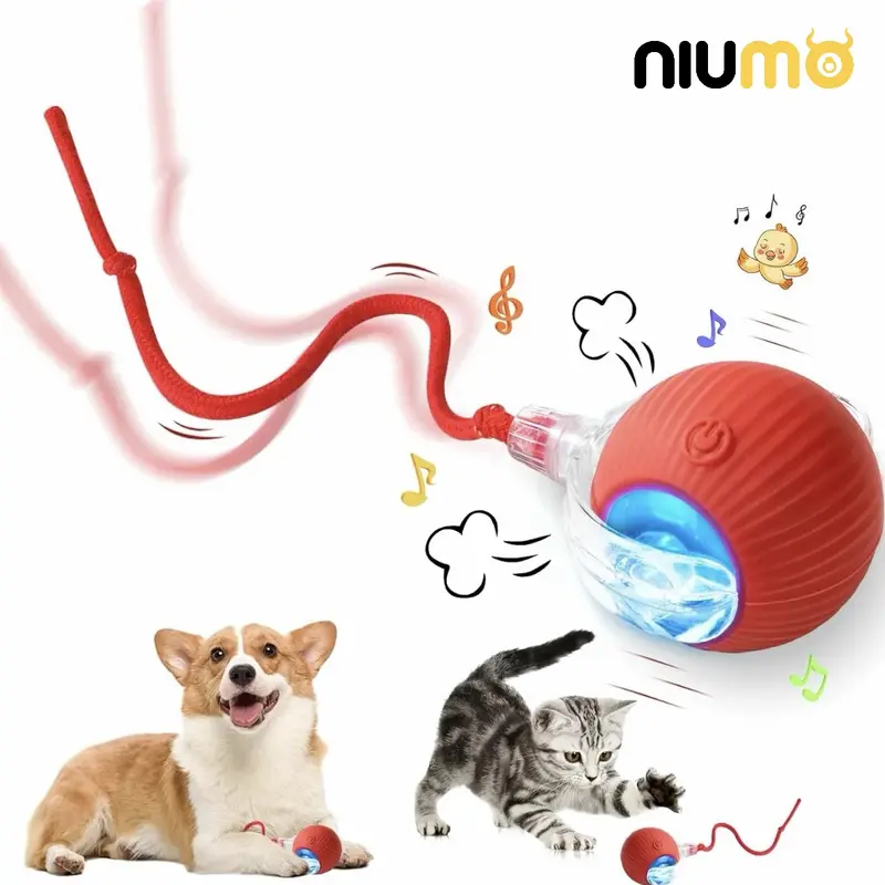 NIUMO Cat Toy Ball,Gift For Pets, Electric Cat Toy Ball with Rope, Interactive Cat Teaser Toy, Automatic Rolling Ball Toy, Pet Supplies, Dog & Cat Accessories, Valentine's Day Gift