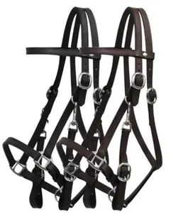 Leather Halter Bridle Combo