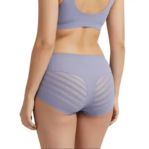 Women's 6-Pack Seamless Bikini Panties, Mid-Waist Semi-Transparent Ice Silk Fabric, Cooling Lightweight Seamless Lifting Underwear, All-Day Wear Comfortable Fit for April Showers or Active Spring Days, Soft Breathable Lingerie, Sexy, Bikini Brief