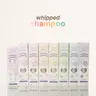 whipped lash shampoo