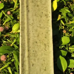 Cerasee Soap loaf Melt&pour