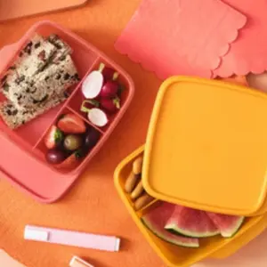 Set of ORANGE Lunch Its - Perfect portable snacks and lunch