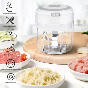 Electric Garlic Chopper,Mini Portable Veggie Chopper,250ML Garlic Grinder Masher Onion Chopper, Blender to Vegetable, Cordless Food Processor for Ginger, Chili, Fruit, Meat, Spices, Beans, etc