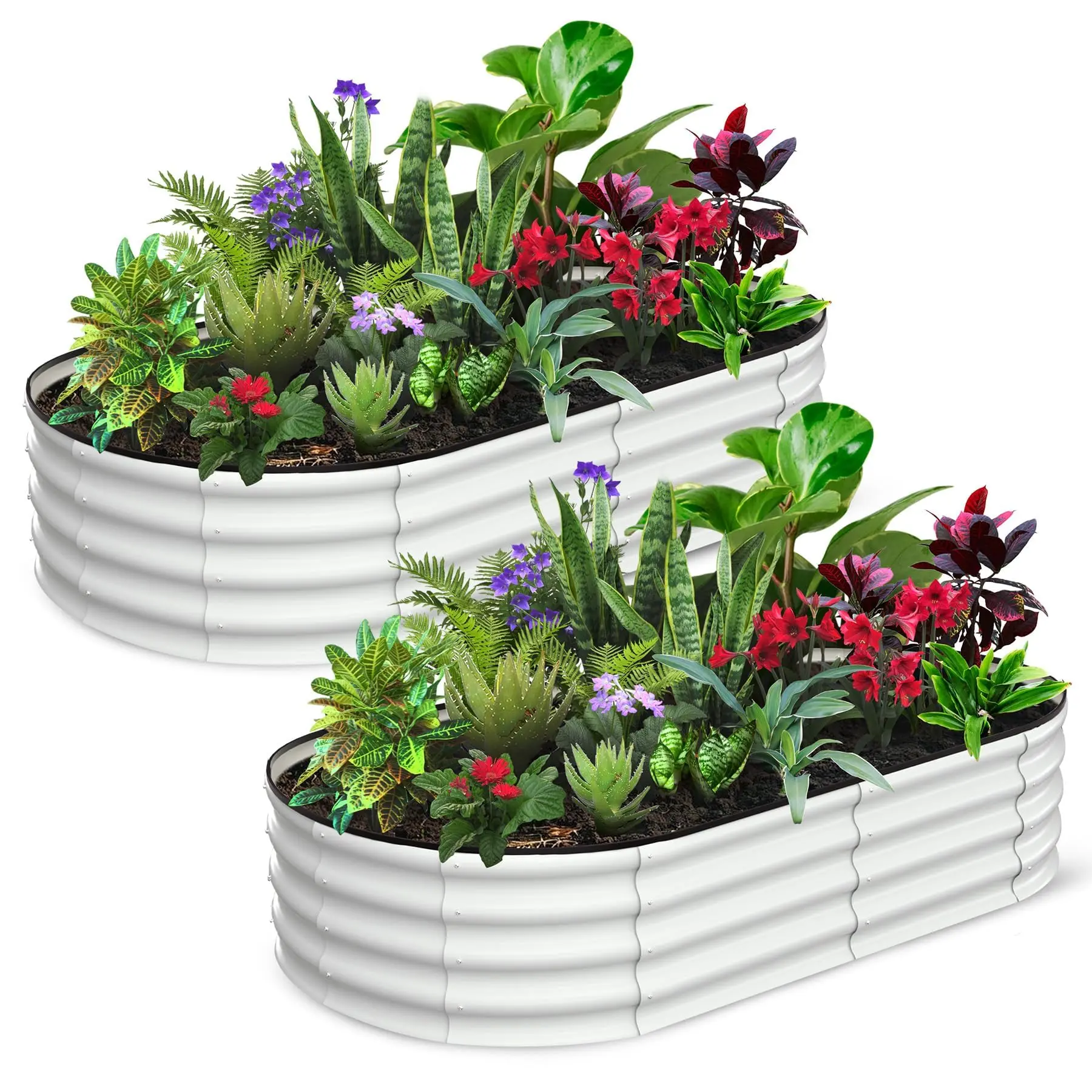 GAOMON 2-Packs-Oval Galvanized Raised Garden Beds, 6x3x1Ft Metal Planter Boxes with Open-Ended Base for for Gardening, Vegetables and Flowers, Beige