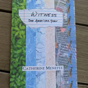 Witness: One American Year Poetry Book 2024 Lyric Protest Politics