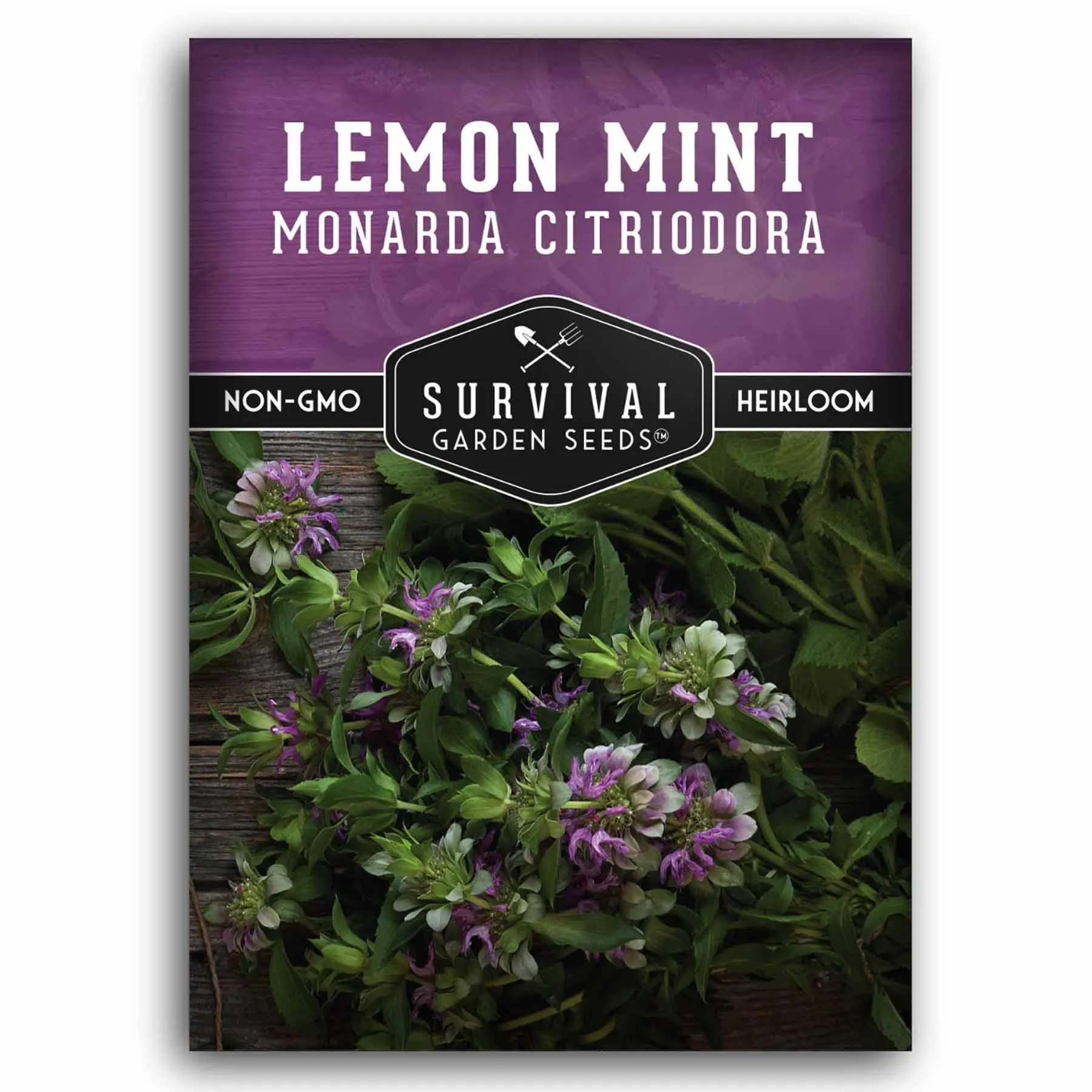 Lemon Mint Seeds (Monarda citriodora) – Fragrant Pollinator-Friendly Herb for Tea, Medicinal, and Ornamental Gardens