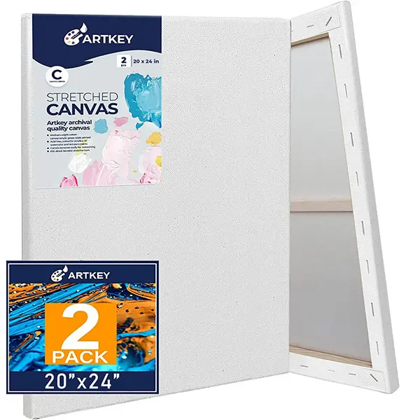 Large Canvases for Painting 20x24 Inch 2-Pack, 12.3 oz Triple Primed Acid-Free 100% Cotton Stretched Canvas, Blank Large Canvas for Oil Paint Acrylics Pouring & Wet Art Media