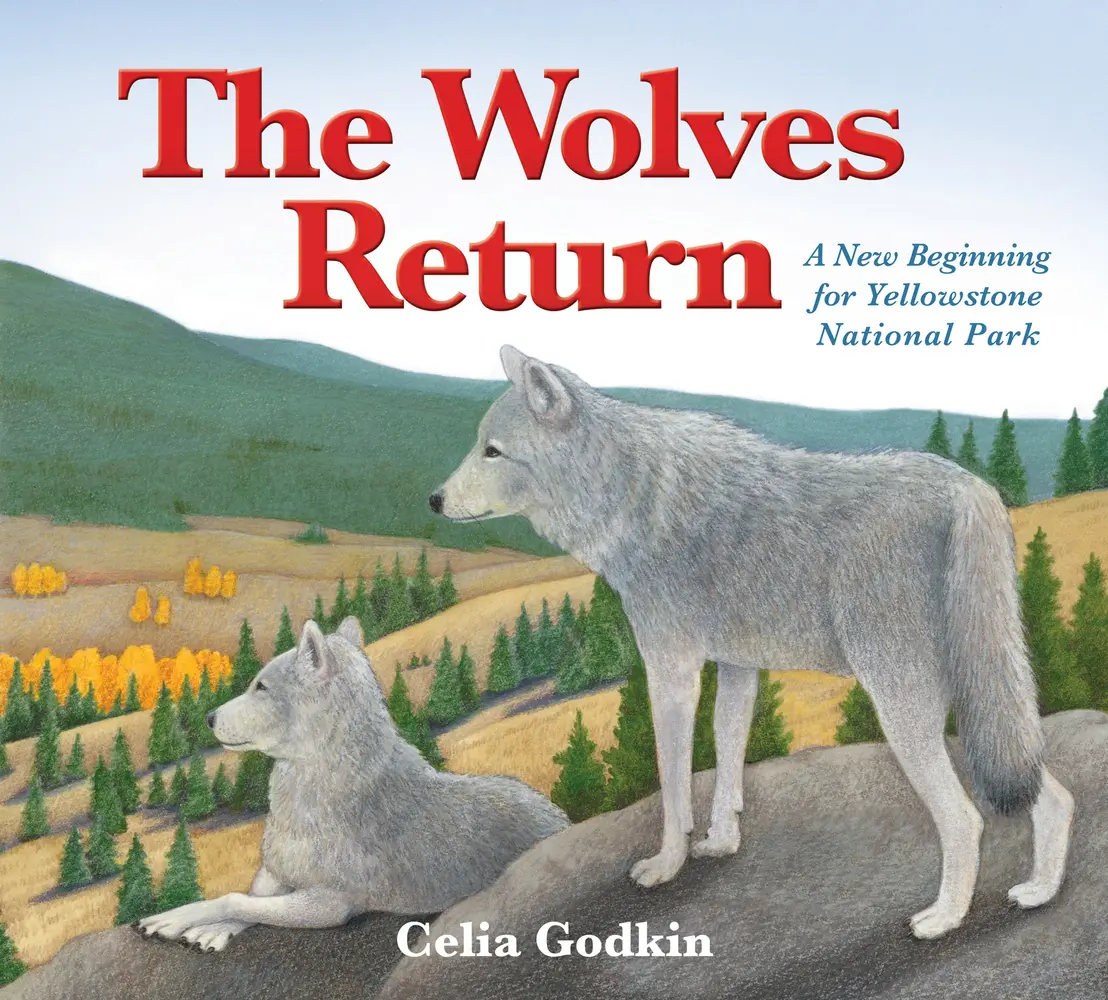 Used Hardcover Book - The Wolves Return: A New Beginning for Yellowstone National Park by Celia Godkin (English) - School & Educational Office Stationery with Wildlife Content, Picture Book Elements, Pencil Crayon Compatibility, Extensive Information