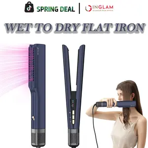 IG INGLAM 2-in-1 Hair Dryer Straightener – Wet & Dry Hot Air Brush for Smooth, Frizz-Free Hair, Fast Airflow Styling Tool Christmas Gift Holiday Gifts Idear