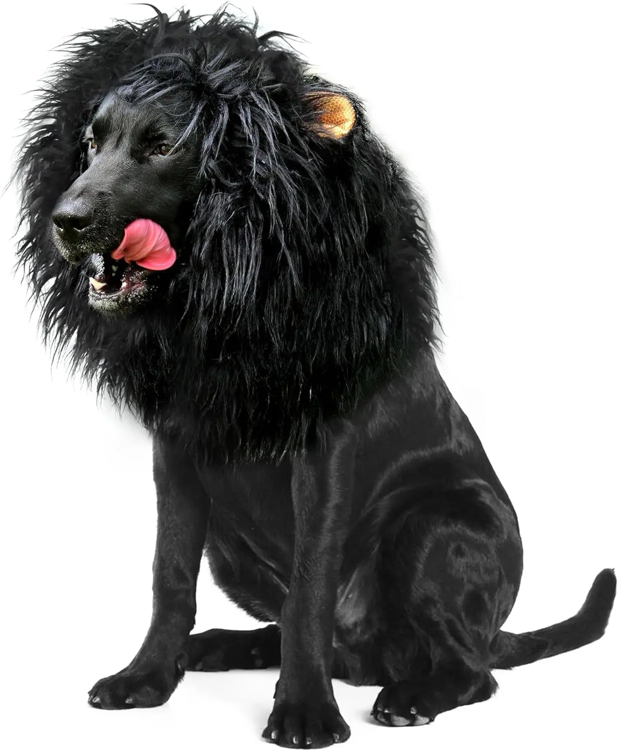 Lion Mane Wig for Dogs with Ears, Funny Pet Costumes for Halloween Christmas (Size M, Black)