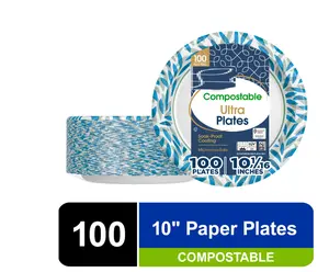 Compostable 10" Disposable Paper Plates, Multicolor, 100 Count