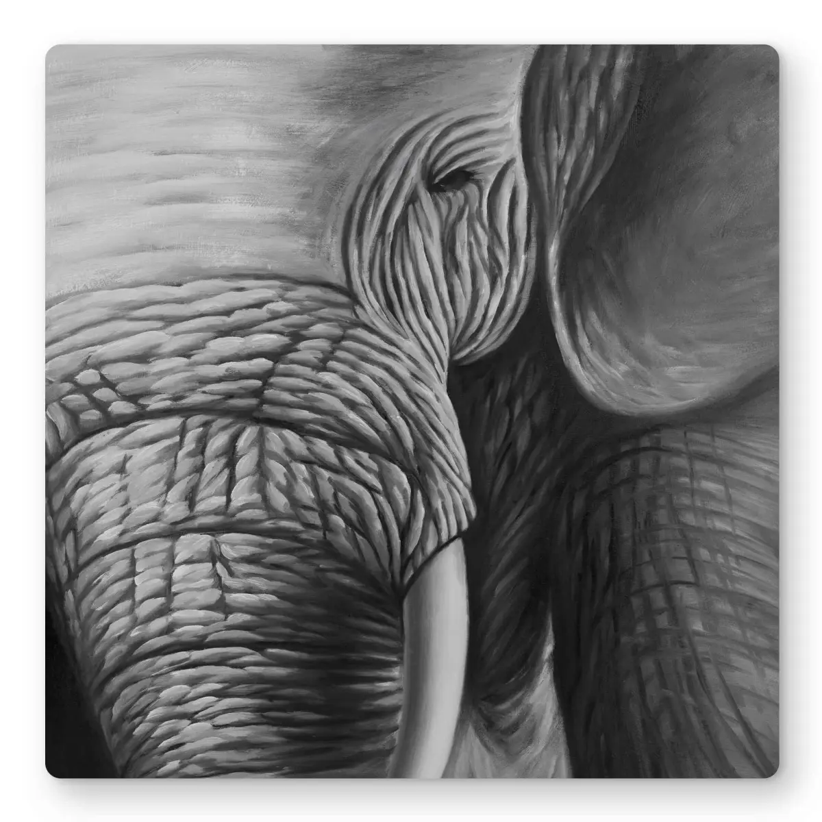 212 MAIN 16x16 in. Lightweight Elephant Aluminium Metal Print Wall Art - Animal Friends Print, Artistic Adventure Photo Artwork, Home Decor, Gift for Animal Lovers, Animal Friends Print Prints