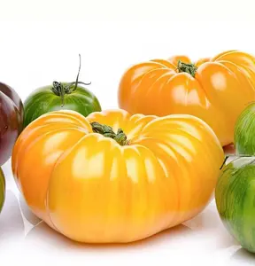 Yellow Brandywine Tomato Seeds | Rare Heirloom Beefsteak | Sweet Low-Acid Garden Tomato | Packets of 15 & 25 seeds - Organically Grown, 6 - 10 feet vines, Ideal for Canning, Cooking and Tasty Slicing Tomatoes