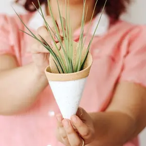 Medium Ceramic Wall Planter