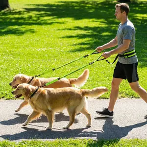 Hands-Free Double Dog Leash  Long Padded No-Tangle Design with 360° Swivel Clasp  Adjustable Dual Dog Lead for Comfortable Walking
