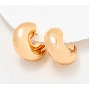 Joan Rivers Polished Sophisticate Hoop Earring