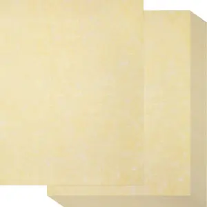 200 Sheets Old Age Parchment Paper 8.5 x 11 Inch Standard Letter Vintage Colored Old Parchment Semblance Double Side Printing Paper(Light Beige)